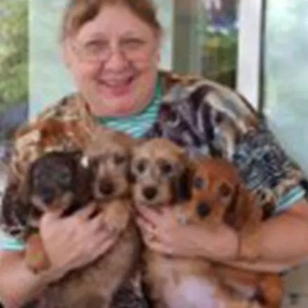 Dr. Valerie Campbell holding four puppies